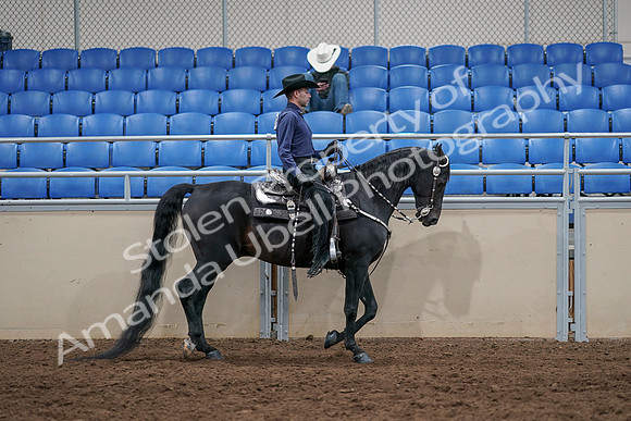 2020 - AB Morgan Horse - Sun, Sept 06 - 07537