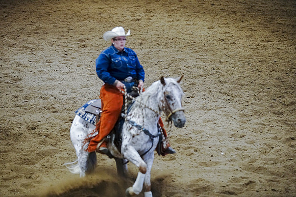 DSC08007