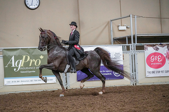 Spring Fling - Saturday - April 20, 2019  -  03669
