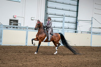 2020 - AB Morgan Horse - Sat, Sept 05 - 12086
