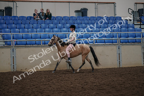 2019 Morgan Horse Show - Aug 30, 2019 - 31058