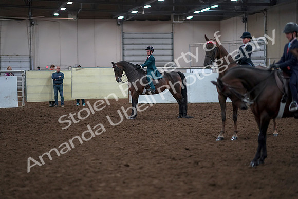 2019 Morgan Horse Show - Aug 30, 2019 - 18189