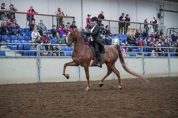 Spring Fling - Saturday - April 20, 2019  -  00425