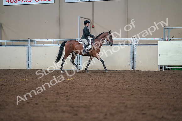 2019 Morgan Horse Show - Aug 30, 2019 - 20848