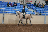 2020 - AB Morgan Horse - Sat, Sept 05 - 01184
