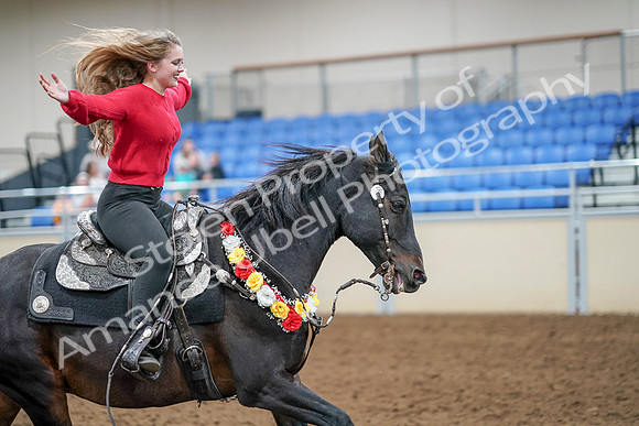 2020 - AB Morgan Horse - Sat, Sept 05 - 10562