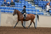 2020 - AB Morgan Horse - Sat, Sept 05 - 10616