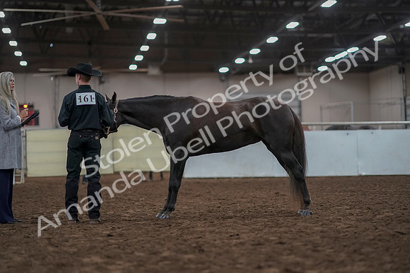 2019 Morgan Horse Show - Aug 31, 2019 - 02049