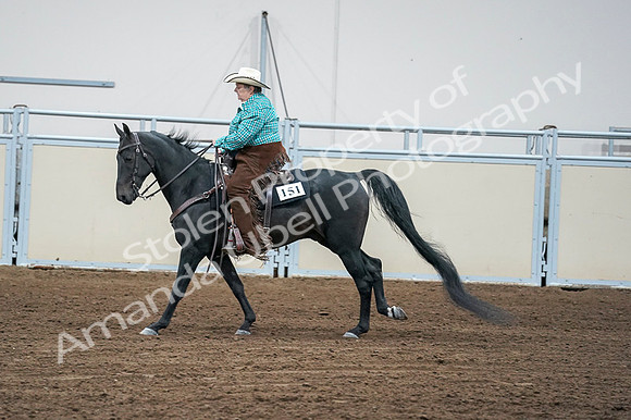 2020 - AB Morgan Horse - Fri, Sept 04 - 00476