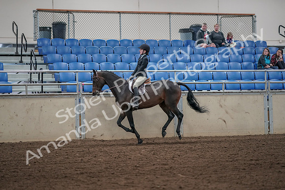 2019 Morgan Horse Show - Aug 31, 2019 - 05088