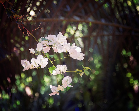 Oct 20 2015 - 4750