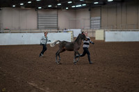 2019 Morgan Horse Show - Aug 31, 2019 - 00191