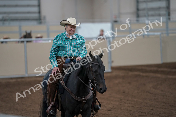 2020 - AB Morgan Horse - Fri, Sept 04 - 00459