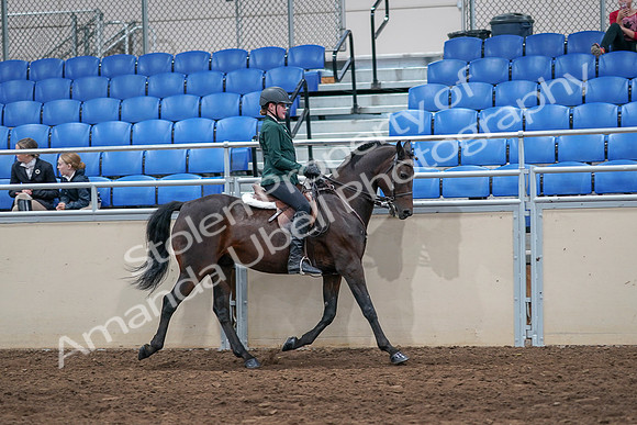 2020 - AB Morgan Horse - Sat, Sept 05 - 05168