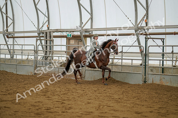 July 20, 2019 - 03778