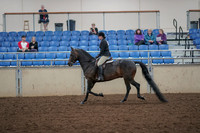 2019 Morgan Horse Show - Aug 30, 2019 - 27200