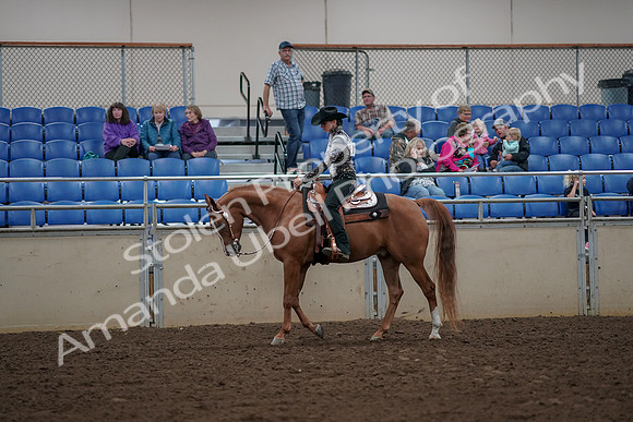2019 Morgan Horse Show - Aug 30, 2019 - 26006