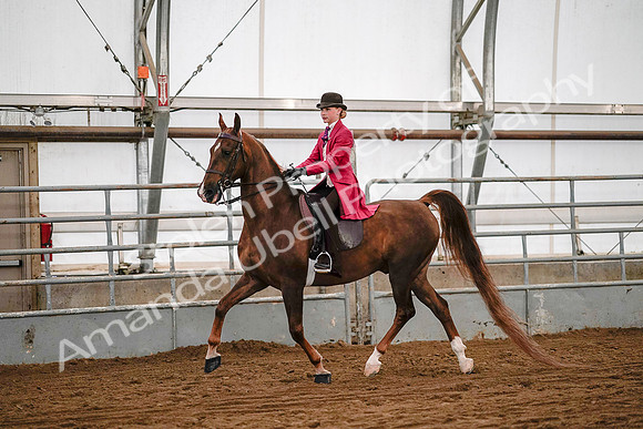 July 19, 2019 - 8728