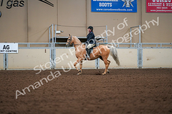 2019 Morgan Horse Show - Aug 30, 2019 - 16171