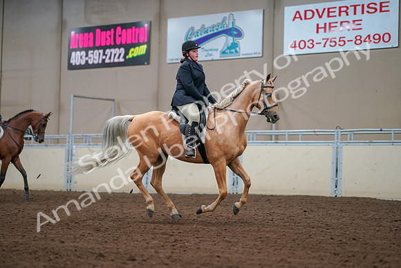 2019 Morgan Horse Show - Aug 30, 2019 - 16415