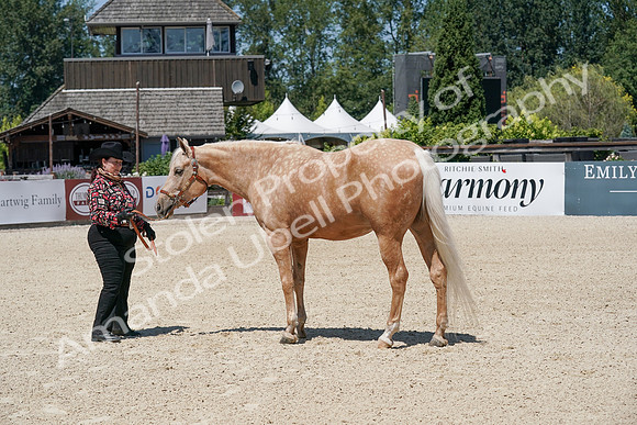 2024 - WCB - July 20 05264_1