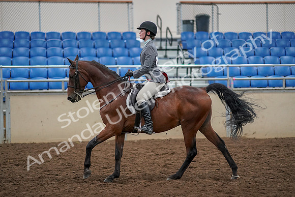 2019 Morgan Horse Show - Aug 30, 2019 - 23464