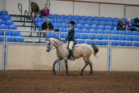 2020 - AB Morgan Horse - Sat, Sept 05 - 01189