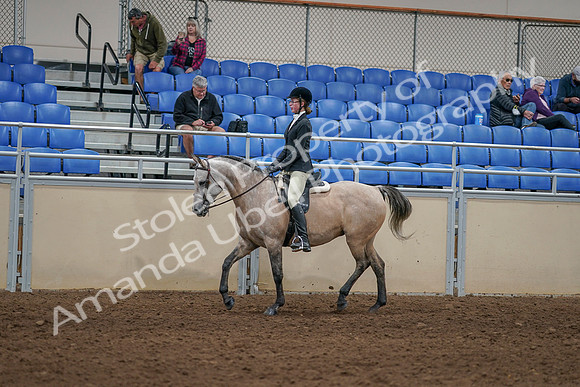 2020 - AB Morgan Horse - Sat, Sept 05 - 01189