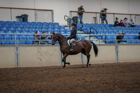 2019 Morgan Horse Show - Aug 31, 2019 - 05565