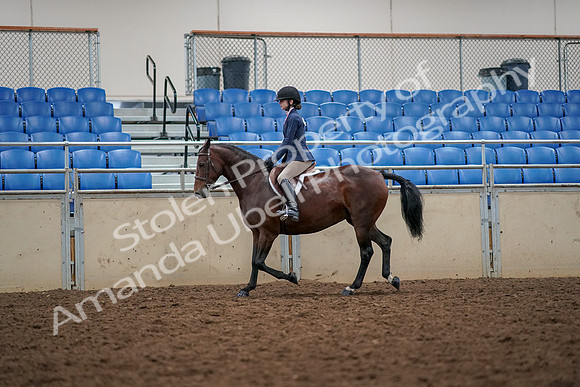 2019 Morgan Horse Show - Aug 30, 2019 - 23213