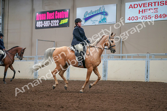 2019 Morgan Horse Show - Aug 30, 2019 - 16414