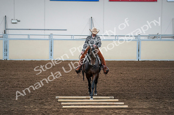 2020 - AB Morgan Horse - Fri, Sept 04 - 00431