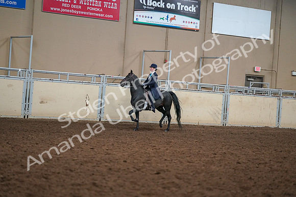 2019 Morgan Horse Show - Aug 30, 2019 - 12216