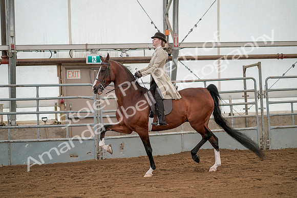 July 20, 2019 - 02070