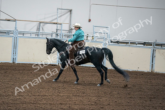 2020 - AB Morgan Horse - Fri, Sept 04 - 00588