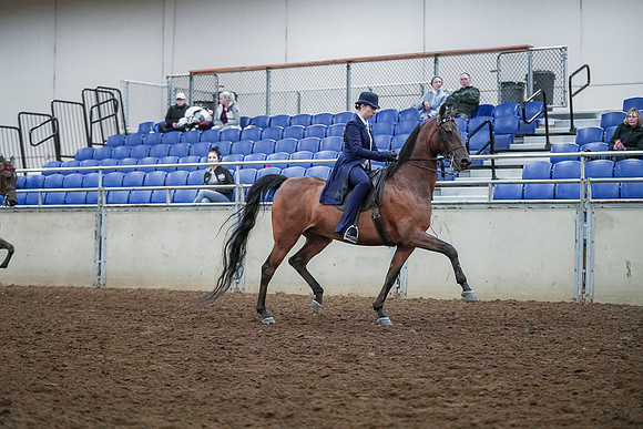 Spring Fling - Saturday - April 20, 2019  -  00793