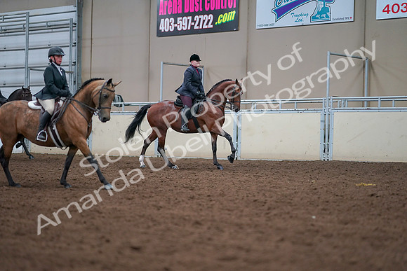 2019 Morgan Horse Show - Aug 30, 2019 - 21053