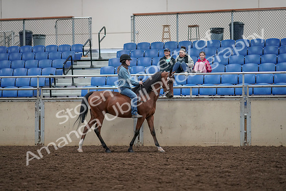 2019 Morgan Horse Show - Aug 30, 2019 - 31348