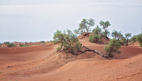 Morocco - 129
