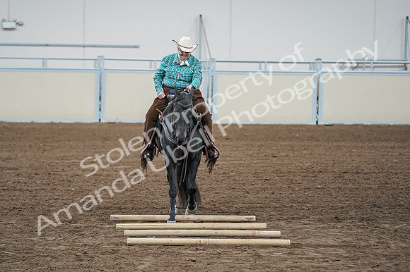 2020 - AB Morgan Horse - Fri, Sept 04 - 00637