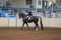 2020 - AB Morgan Horse - Fri, Sept 04 - 01989