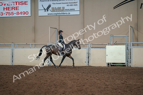 2019 Morgan Horse Show - Aug 30, 2019 - 12484
