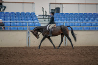 2019 Morgan Horse Show - Aug 31, 2019 - 06317