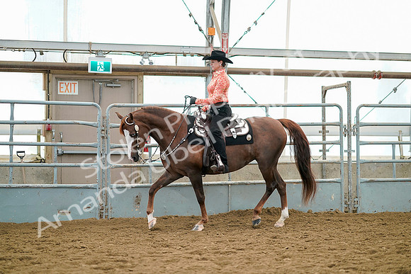 July 19, 2019 - 12209
