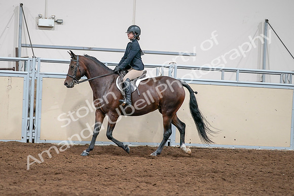 2020 - AB Morgan Horse - Sat, Sept 05 - 04973