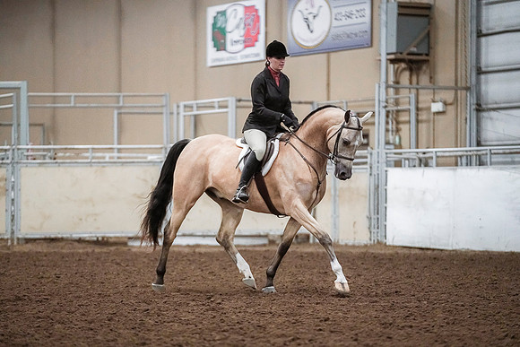 Spring Fling - Saturday - April 20, 2019  -  04655