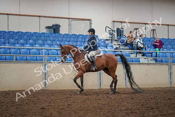 2019 Morgan Horse Show - Aug 30, 2019 - 22242