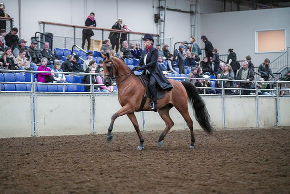 Spring Fling - Saturday - April 20, 2019  -  00662