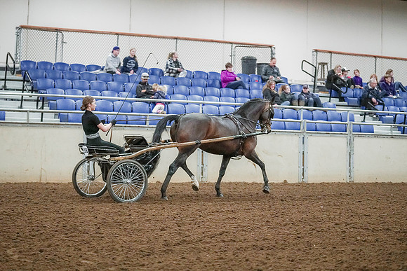 Spring Fling - Saturday - April 20, 2019  -  00275