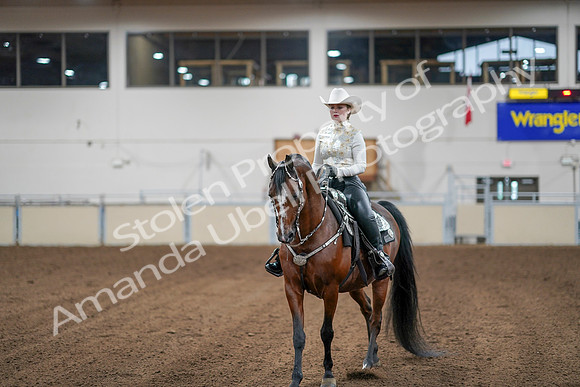 2020 - AB Morgan Horse - Sun, Sept 06 - 07613